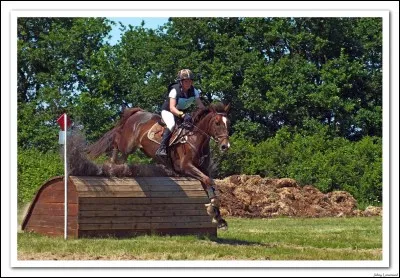 Quelles disciplines trouve-t-on dans un concours complet ?