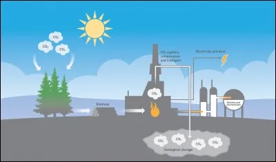 Le dioxyde de carbone.