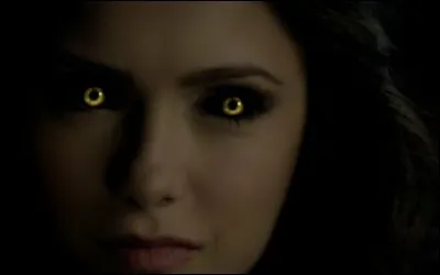 Qui/Qu'est-ce qui a tué Elena avant qu'elle ne devienne un vampire ?