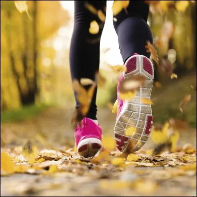 Comment dit-on "entraînement" en anglais ?