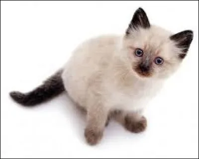 Antonyme de "affreuse" :