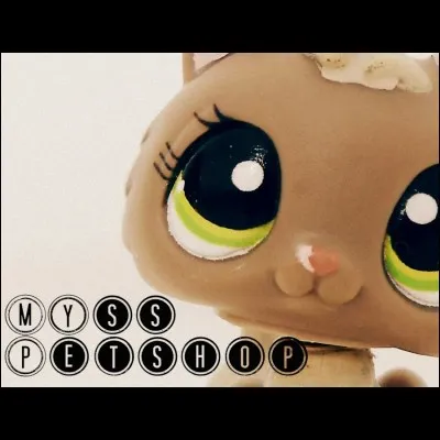 MYssPetshop a fait...