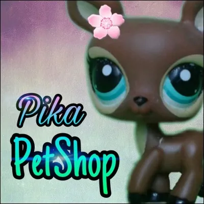 La vidéo la plus populaire de Pika Petshop est...