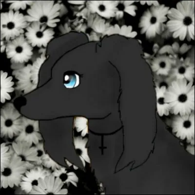 La mascotte de Galaxou est...