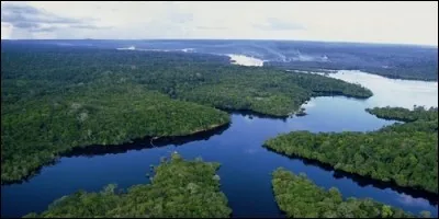 Parmi ces pays, lequel n'est pas traversé par l'Amazone ?