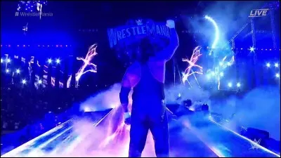 Qui a battu Undertaker à WrestleMania 33 ?