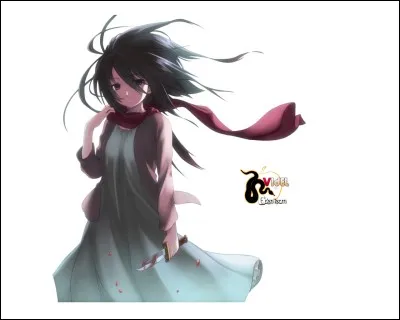 Mikasa a été adoptée par :