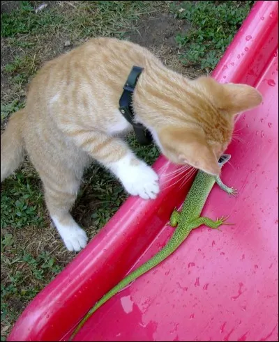 Si vous avez tout bon, il n'y en aura pas !