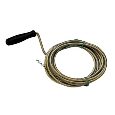 Trouvez le nom de l'animal !