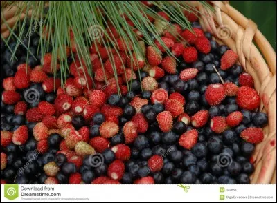 Elle peut mettre votre bateau à l'abri, l'une d'entre elles est surnommée des Anges !