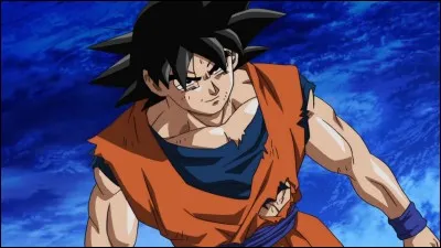 Qu'a Goku ?