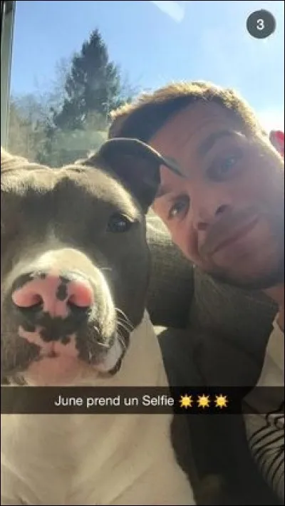 Avec quel chien a-t-il tourné pour M6 ?