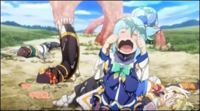 Quel est le nom de cet anime ?