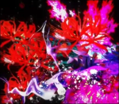 Quel est le nom de cet anime ?