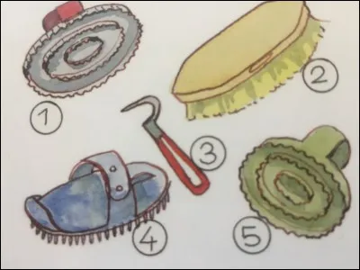 Connais-tu les principaux instruments de pansage ? Quel est le numéro 5 ?