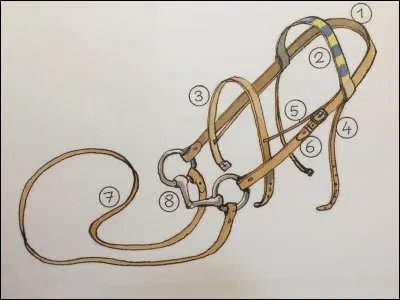 Comment se nomment les numéros 1 et 4 ?