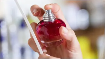 La pierre d'Afrique, ou pierre de Dieu, est une r&eacute;sine fossilis&eacute;e, utilis&eacute;e en parfumerie, de quoi est-elle compos&eacute;e ?