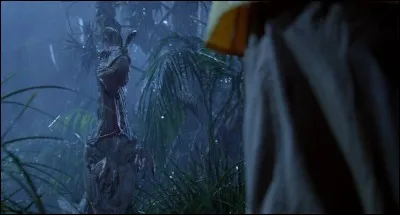 Quel est ce dinosaure ?