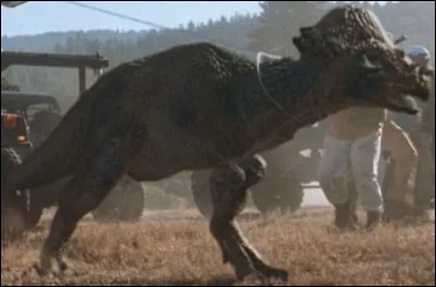 Quel est ce dinosaure ?