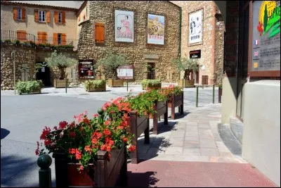 La ville de Thuir est située dans :