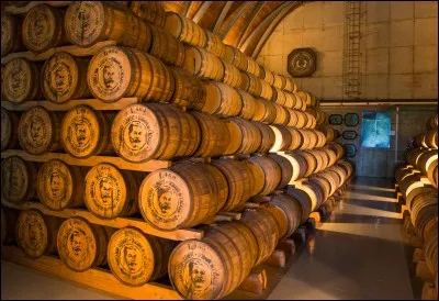 À partir de quelle plante tropicale produit-on du rhum ?