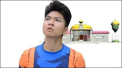 Dans quelle vidéo Henry s'est-il rendu dans la Salle du Temps ?