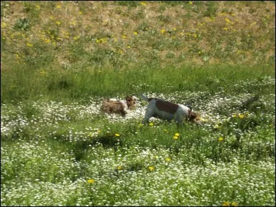Tu préfères te promener...