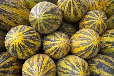 Est-ce un fruit à pépins ou à noyau ? (pastèque)