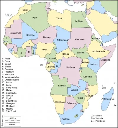 L'Algérie est le plus grand pays africain.