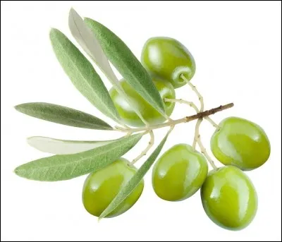 Est-ce un fruit à pépins ou à noyau ? (olive)