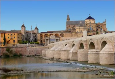 Quelle sera la capitale dans l'Andalousie de ses nouveaux envahisseurs très expérimentés dans l'art de la guerre ?