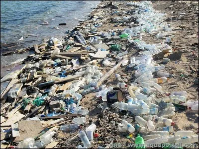 Pourrais-tu vivre avec la pollution autour de toi ?