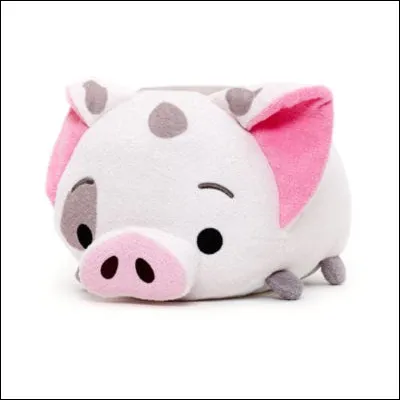 Quel est ce personnage ?