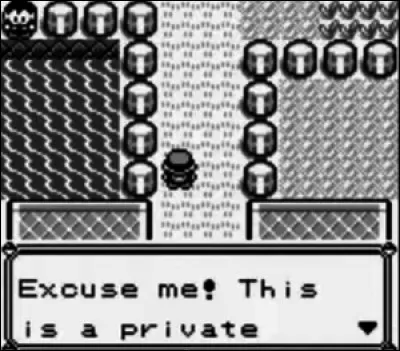 Comment se nomme ce bug et que se passe-t-il ? (Ce bug est dans Pokémon Rouge et Bleu.)