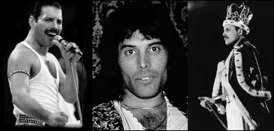 Connaissez-vous Farrokh Bulsara ? Certainement, mais vous le connaissez sous un autre nom ! Lui, il a été obligé de quitter son île natale (Zanzibar) au moment de l'indépendance de son pays (la Tanzanie en 1963). Ses parents étaient d'origine perse.
Qui est-il ?