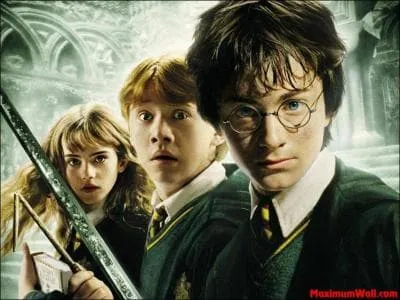 Que cherche Harry dans ce film ?