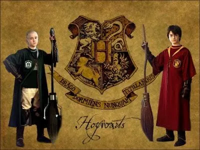 Lors du match opposant Serpentard  Gryffondord ( en deuxime anne) qui a gagn et qui a attrap le vif d'or ?