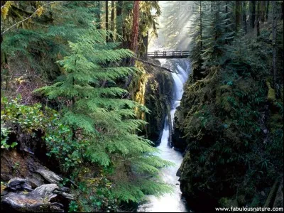 Tromperie par de fausses apparences !