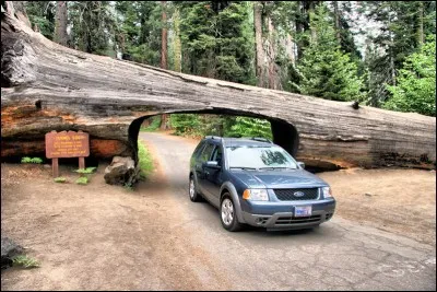 Si vous ne trouvez pas ce mot, vous allez vous faire de la bile !