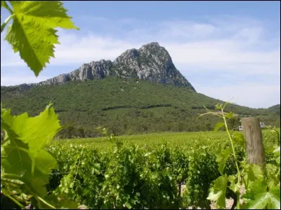 Le département de l'Hérault n'est pas limitrophe de celui :