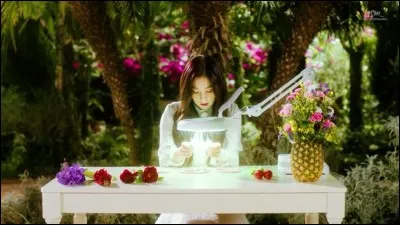 De quelle chanson provient cette image ?