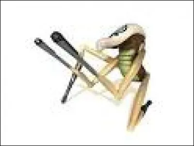 Les tarentules apparaissent à partir de quelle saison ?