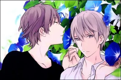 De quel Yaoi vient cette image ?