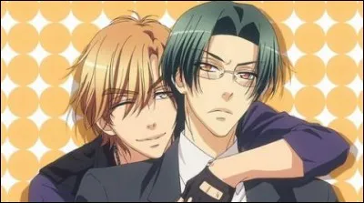 Dans ce couple, qui est le "Seme" (dominant) ?