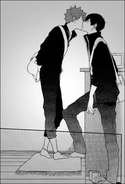 De quel Yaoi vient cette image ?