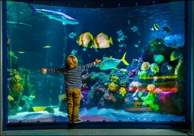 Quel est le volume du plus grand aquarium du monde ?