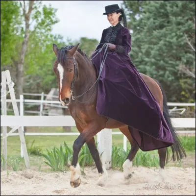 Comment s'appelle la pratique où l'on met les 2 jambes du même côté ?