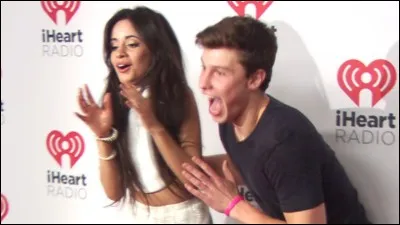 Quel genre de fille Shawn aime-t-il ?