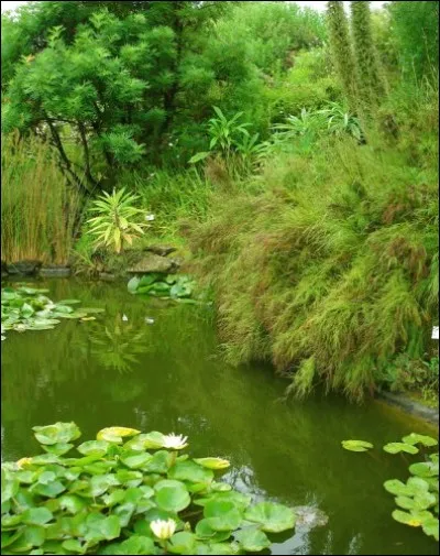 Il nous met au vert.