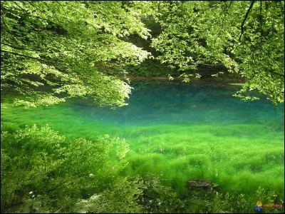 Fait regretter les espaces verts.